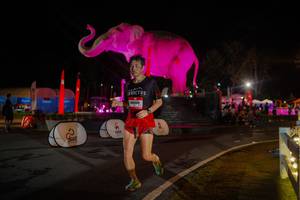 BIB: 
                            <button type="button" onclick="openModal(26552140)" class="btn btn-primary btn-sm float-right btn-popup" data-toggle="modal" data-target=".modal-high-quality">
                        <i class="fas fa-shopping-cart"></i> Add to Cart
                    </button>
                                            <button type="button" onclick="isThisMe(26552140, true)" class="btn btn-success btn-sm float-right btn-popup btn-isme hidden" data-toggle="tooltip" data-placement="bottom" title="นี่คือรูปของคุณใช่ไหม คลิกที่นี่เพื่อเอาเข้าอัลบั้ม">
                        <i class="fas fa-plus"></i> Add to album
                    </button>
                    <button type="button" onclick="isThisMe(26552140, false)" class="btn btn-warning btn-sm float-right btn-popup btn-isnotme hidden">
                        <i class="fas fa-ban"></i> Remove from album
                    </button>